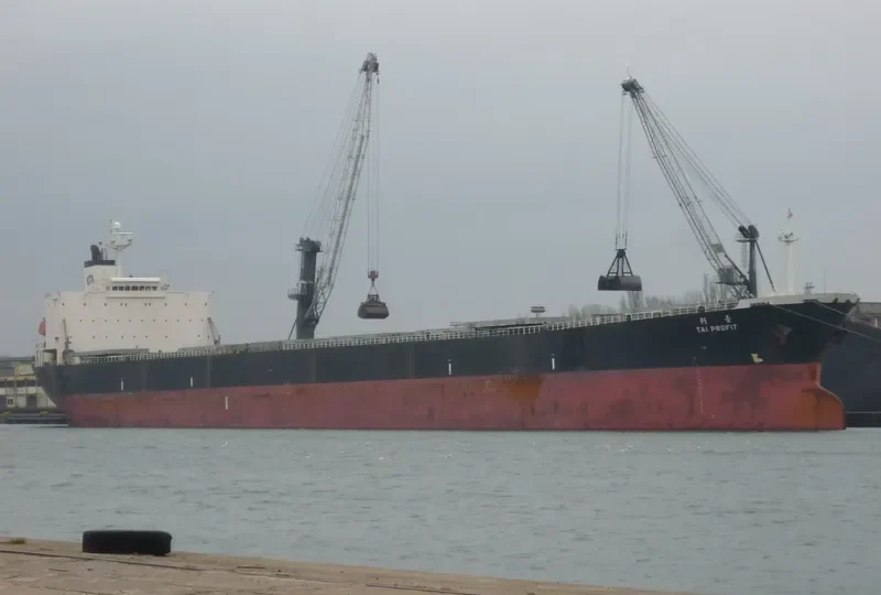 CHARM LOONG Bulk Carrier IMO 9218272 photo 6