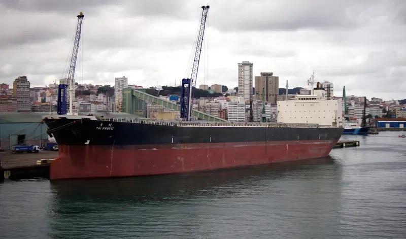 CHARM LOONG Bulk Carrier IMO 9218272 photo 7