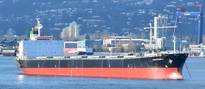 ELPIDA Bulk Carrier IMO 9218284 photo 4