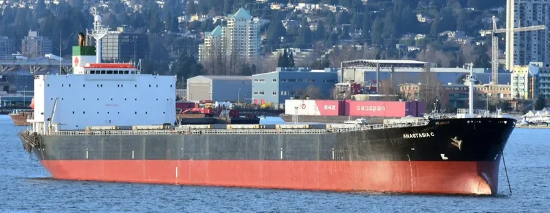 ELPIDA Bulk Carrier IMO 9218284 photo 5