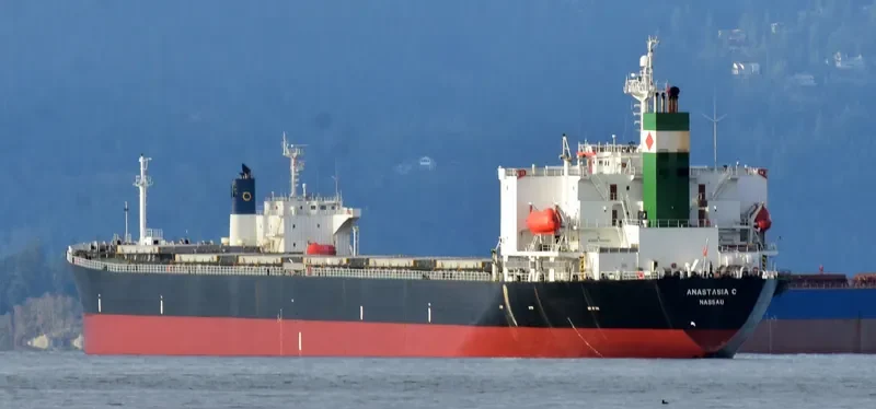 ELPIDA Bulk Carrier IMO 9218284 photo 7