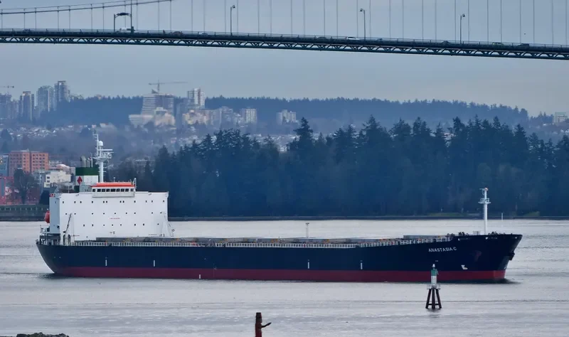 ELPIDA Bulk Carrier IMO 9218284 photo 9