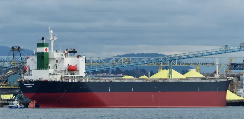 ELPIDA Bulk Carrier IMO 9218284 photo 10