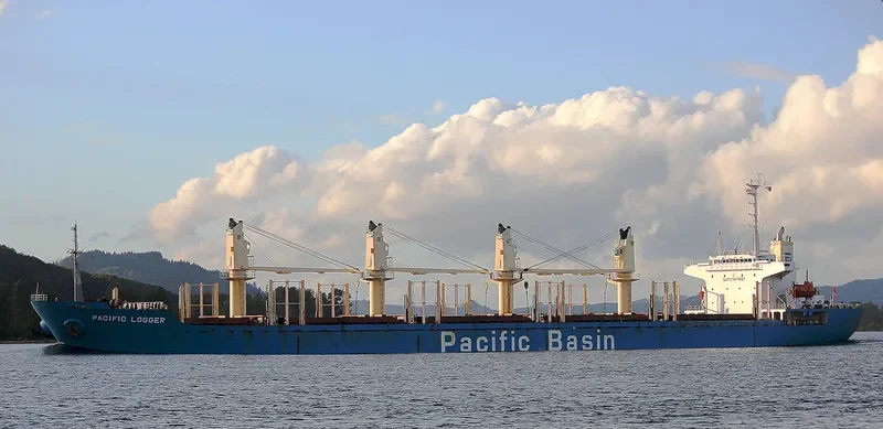 GOLDEN BRIDGE Bulk Carrier IMO 9218301 photo 2