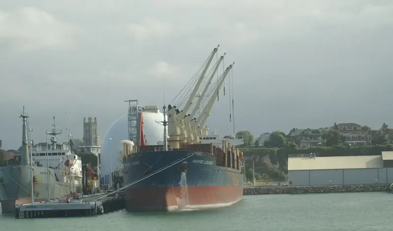 GOLDEN BRIDGE Bulk Carrier IMO 9218301 photo 5