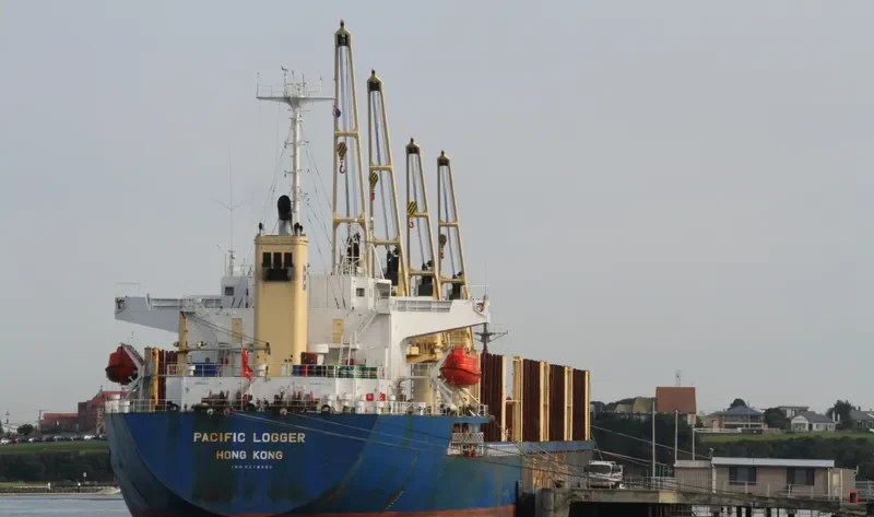 GOLDEN BRIDGE Bulk Carrier IMO 9218301 photo 7