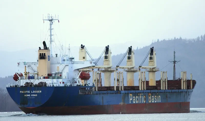GOLDEN BRIDGE Bulk Carrier IMO 9218301 photo 9