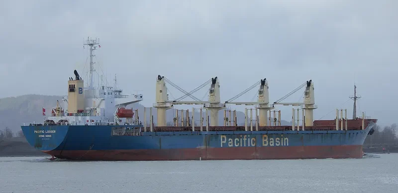 GOLDEN BRIDGE Bulk Carrier IMO 9218301 photo 10