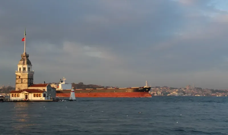 EMMAKRIS I Bulk Carrier IMO 9218399
