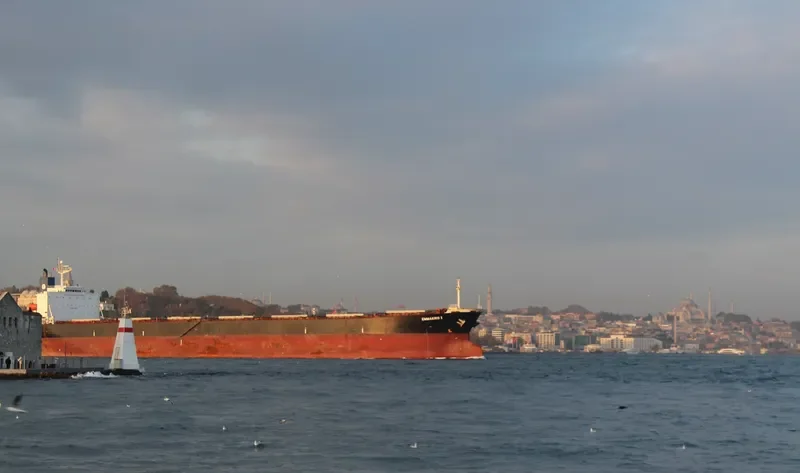 EMMAKRIS I Bulk Carrier IMO 9218399 photo 3