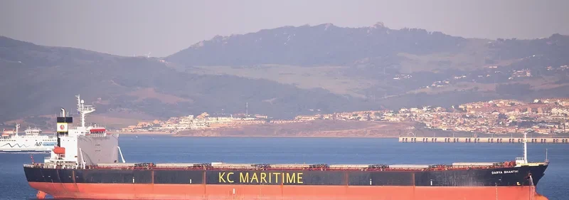 EMMAKRIS I Bulk Carrier IMO 9218399 photo 9