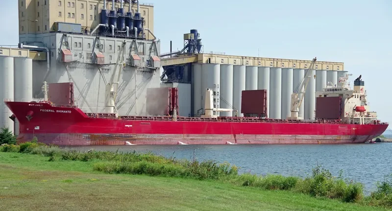 FEDERAL SHIMANTO Bulk Carrier IMO 9218404 photo 4