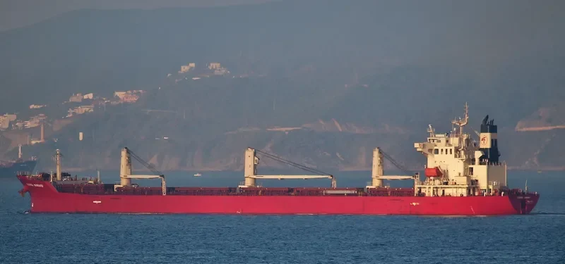 FEDERAL SHIMANTO Bulk Carrier IMO 9218404 photo 5