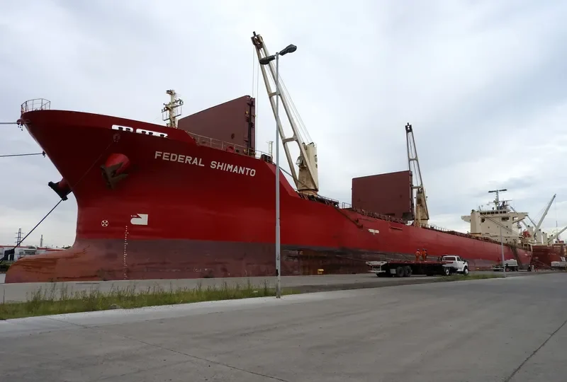 FEDERAL SHIMANTO Bulk Carrier IMO 9218404 photo 9