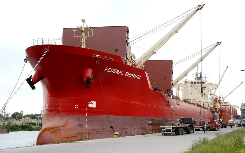 FEDERAL SHIMANTO Bulk Carrier IMO 9218404 photo 10