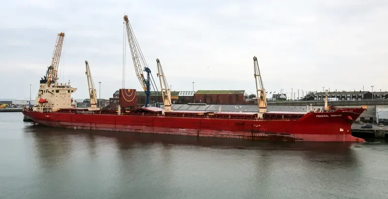 FEDERAL YOSHINO Bulk Carrier IMO 9218416 photo 2