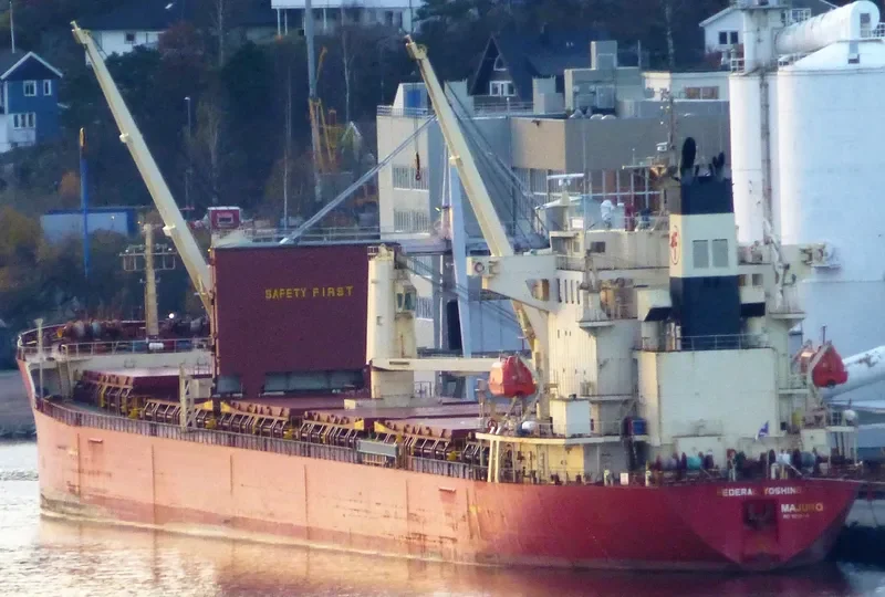FEDERAL YOSHINO Bulk Carrier IMO 9218416 photo 4