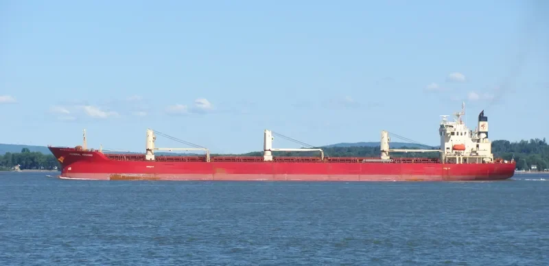 FEDERAL YOSHINO Bulk Carrier IMO 9218416 photo 5