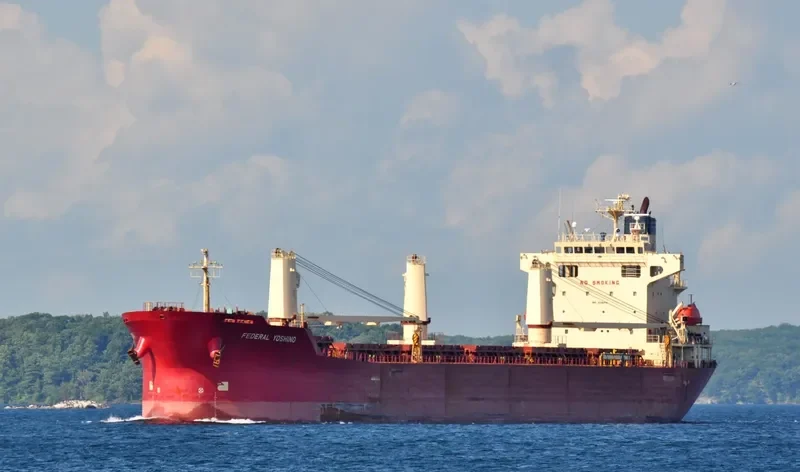 FEDERAL YOSHINO Bulk Carrier IMO 9218416 photo 6