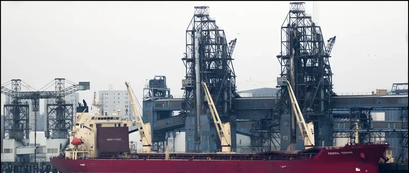 FEDERAL YOSHINO Bulk Carrier IMO 9218416 photo 7