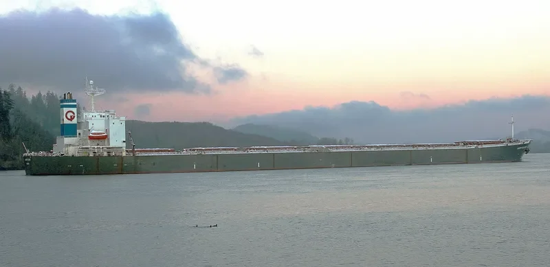 GUANG YUAN Bulk Carrier IMO 9218521