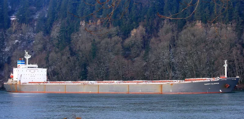 GUANG YUAN Bulk Carrier IMO 9218521 photo 5