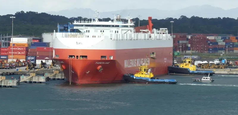TAMERLANE Ro-Ro IMO 9218648 photo 2