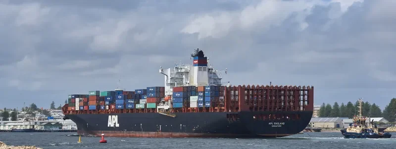 TORRANCE Container Ship IMO 9218650 photo 5