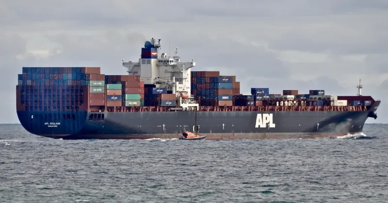 TORRANCE Container Ship IMO 9218650 photo 7