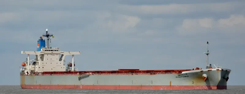 GLOVIS AMBITION Bulk Carrier IMO 9218832 photo 2