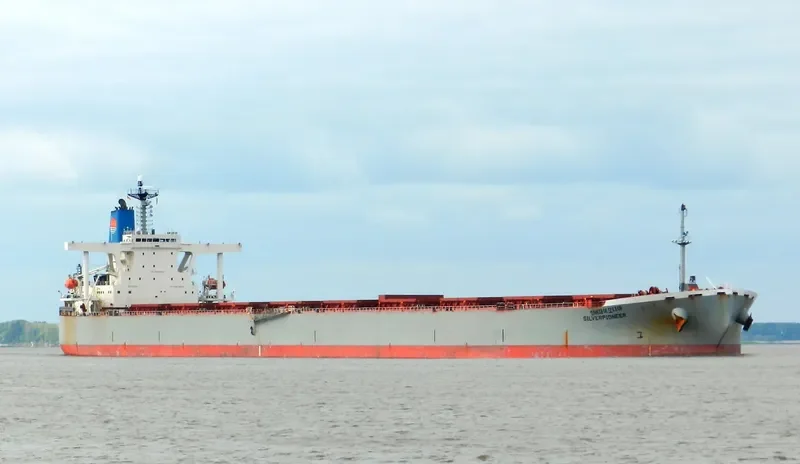 GLOVIS AMBITION Bulk Carrier IMO 9218832 photo 4