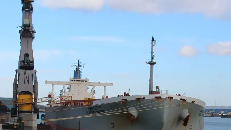 GLOVIS AMBITION Bulk Carrier IMO 9218832 photo 8