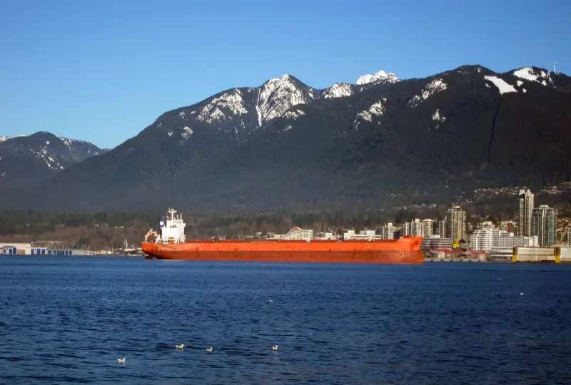 GULF TRADER Bulk Carrier IMO 9218844 photo 2
