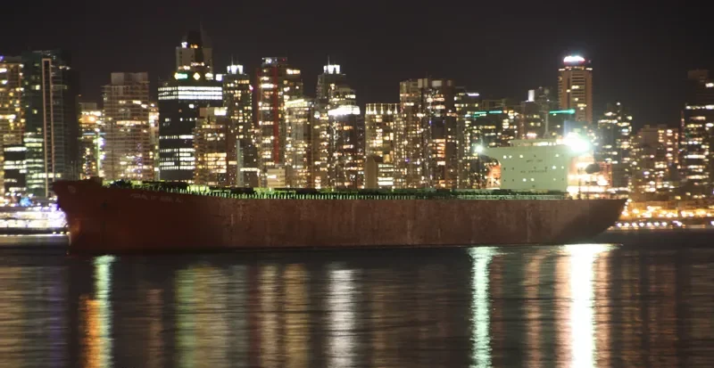 GULF TRADER Bulk Carrier IMO 9218844 photo 3