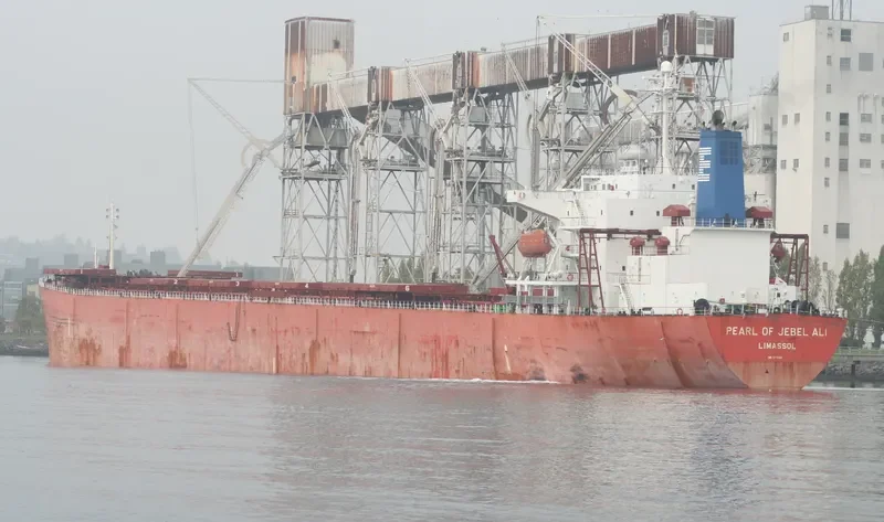 GULF TRADER Bulk Carrier IMO 9218844 photo 4
