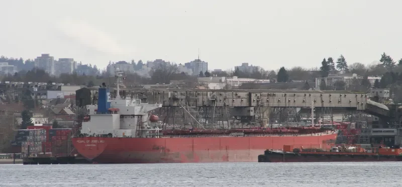 GULF TRADER Bulk Carrier IMO 9218844 photo 5