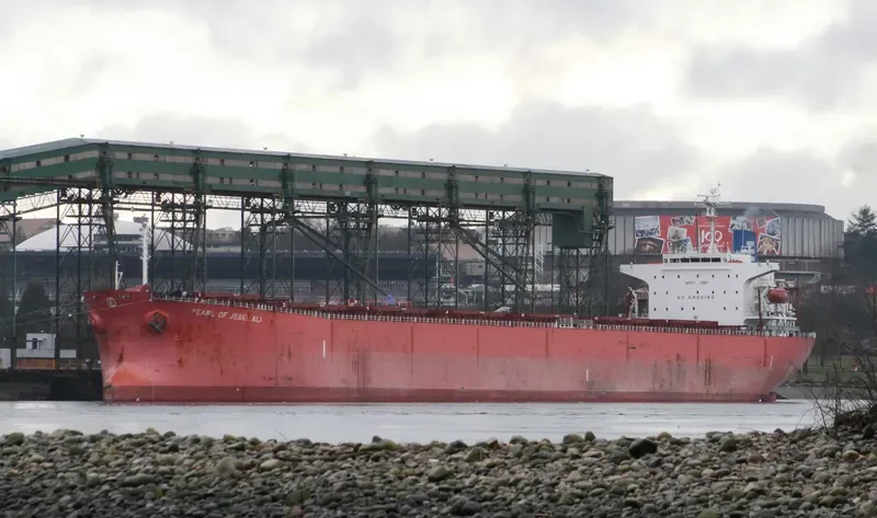 GULF TRADER Bulk Carrier IMO 9218844 photo 6