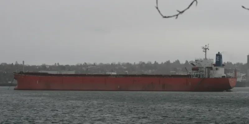 GULF TRADER Bulk Carrier IMO 9218844 photo 8
