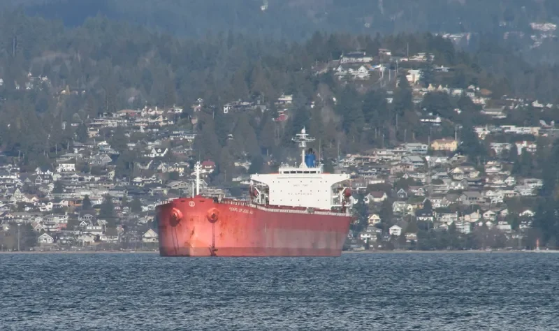 GULF TRADER Bulk Carrier IMO 9218844 photo 9