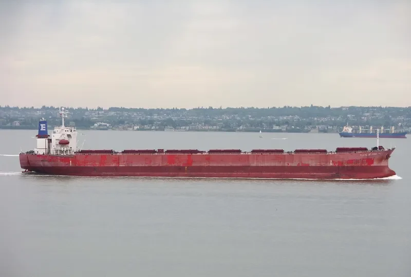 GULF TRADER Bulk Carrier IMO 9218844 photo 10
