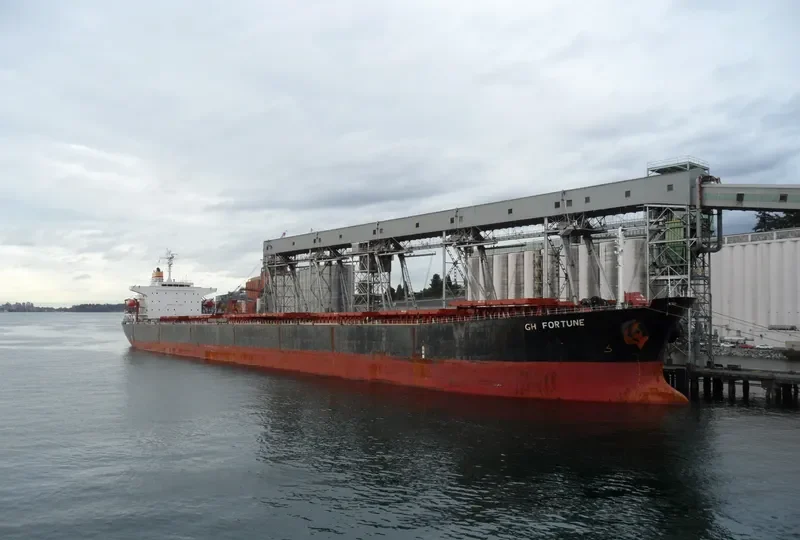 GH FORTUNE Bulk Carrier IMO 9218856 photo 5