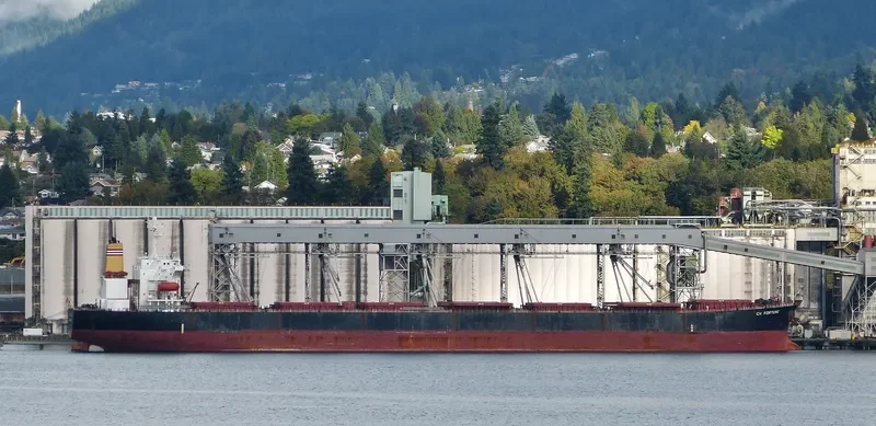 GH FORTUNE Bulk Carrier IMO 9218856 photo 6