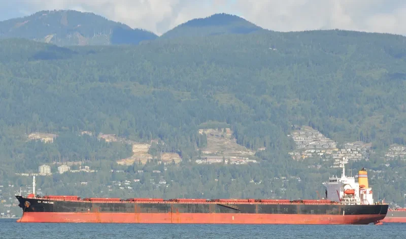 GH FORTUNE Bulk Carrier IMO 9218856 photo 9