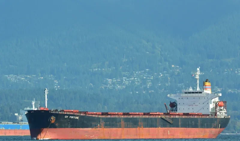 GH FORTUNE Bulk Carrier IMO 9218856 photo 10
