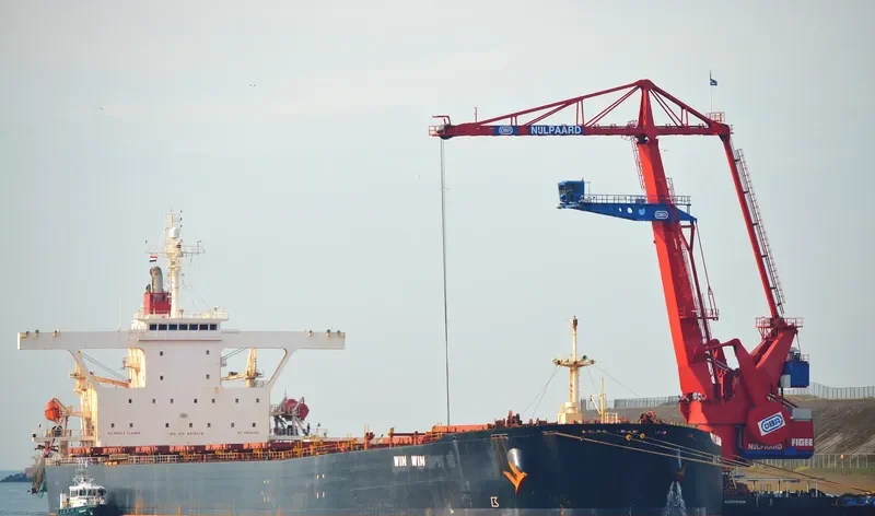 WIN WIN Bulk Carrier IMO 9219018 photo 2