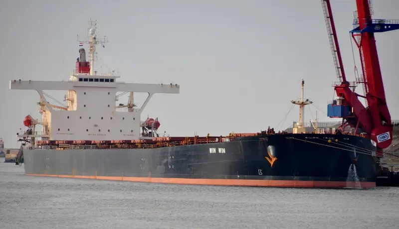 WIN WIN Bulk Carrier IMO 9219018 photo 4
