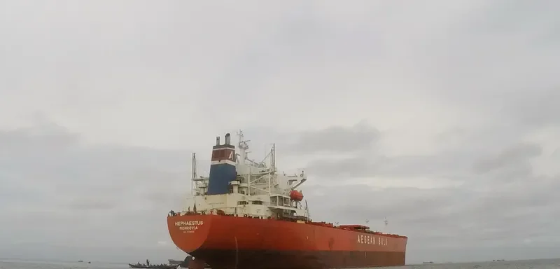 TAN YANG LUN Bulk Carrier IMO 9219032 photo 4