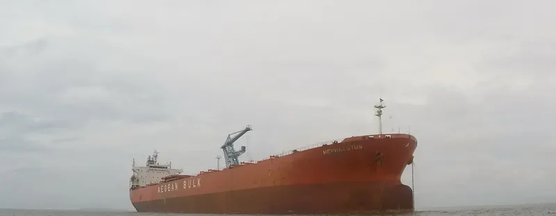 TAN YANG LUN Bulk Carrier IMO 9219032 photo 5