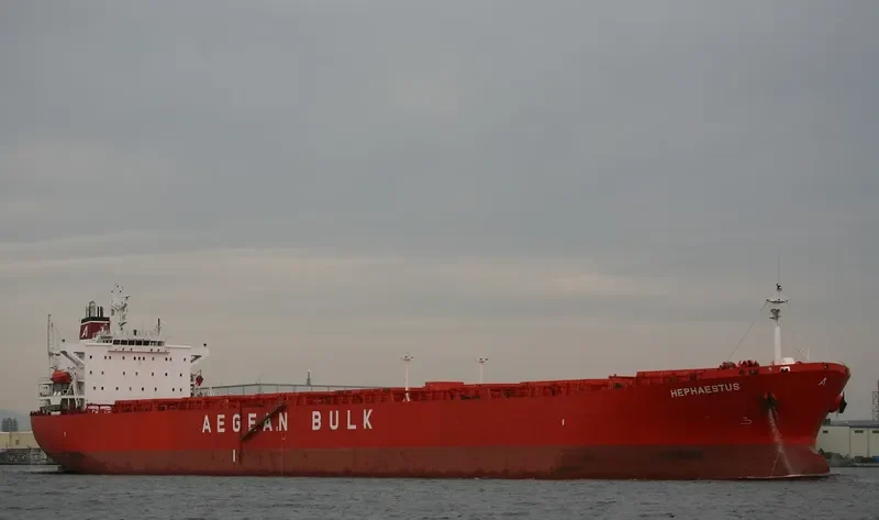 TAN YANG LUN Bulk Carrier IMO 9219032 photo 6