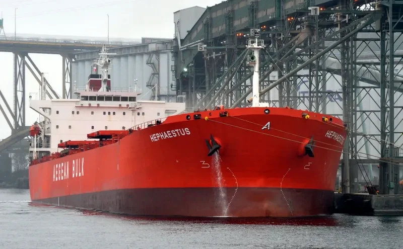 TAN YANG LUN Bulk Carrier IMO 9219032 photo 7